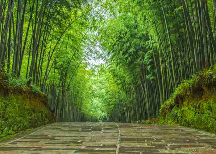 三星堆穿越回成都，景区直通车攻略！亲测省心又好玩-第1张图片-成都租车公司